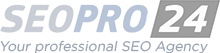 SeoPro24 well established international SEO company